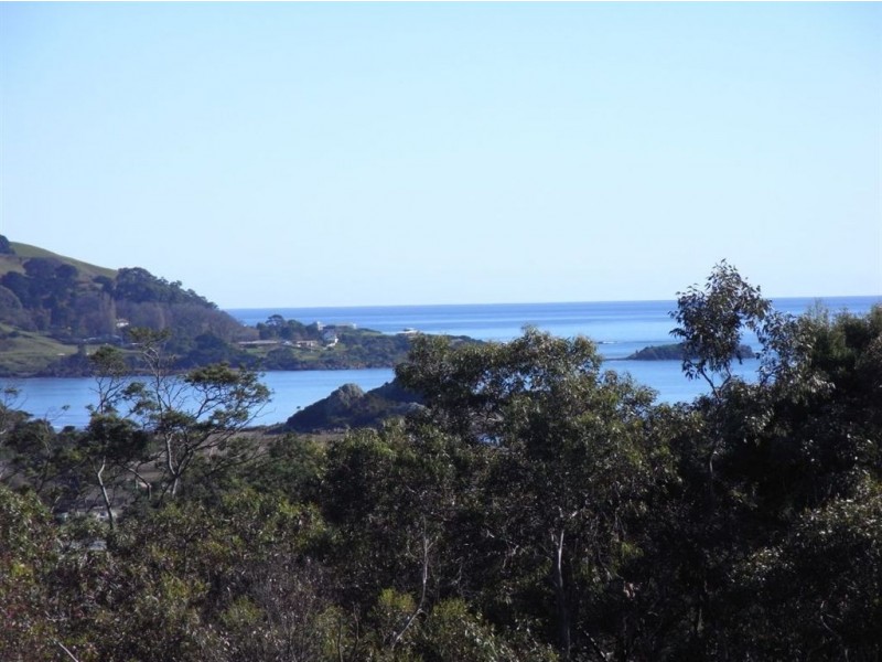 46 Amy Street, Ulverstone TAS 7315
