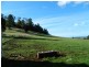 30 Gunns Plains Road, North Motton TAS 7315