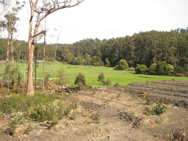 105 Stubbs Road, Turners Beach TAS 7315