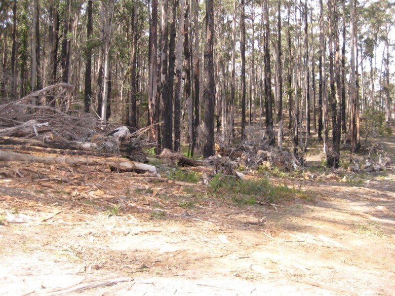 105 Stubbs Road, Turners Beach TAS 7315