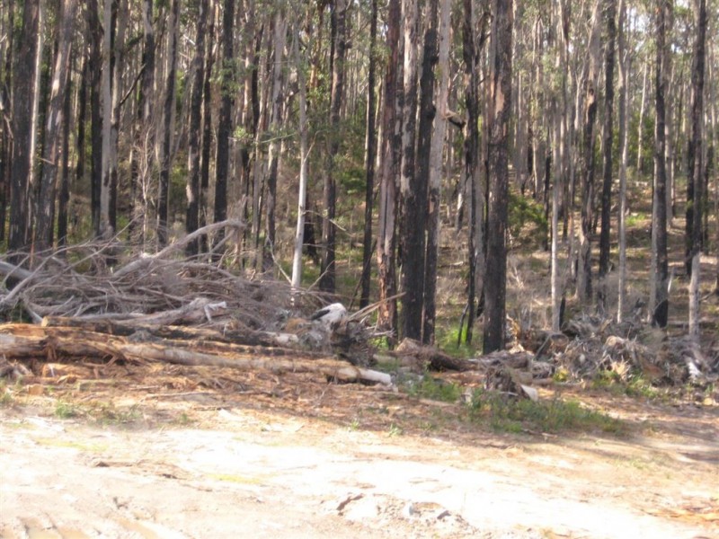 105 Stubbs Road, Turners Beach TAS 7315