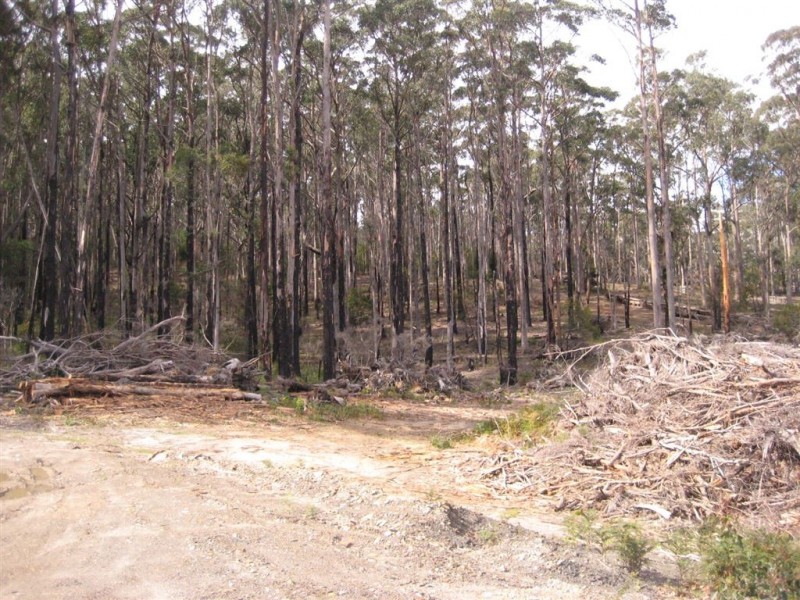 105 Stubbs Road, Turners Beach TAS 7315