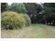 769 Kindred Road, Kindred TAS 7310