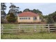 769 Kindred Road, Kindred TAS 7310