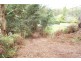 392 Wilmot Road, Forth TAS 7310