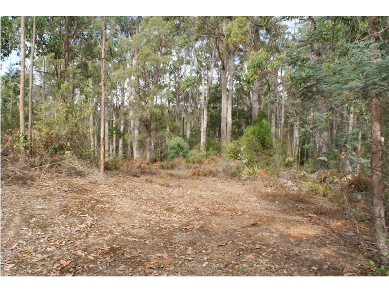 392 Wilmot Road, Forth TAS 7310