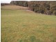 1058 Preston Road, North Motton TAS 7315