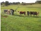 1058 Preston Road, North Motton TAS 7315