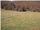 1058 Preston Road, North Motton TAS 7315