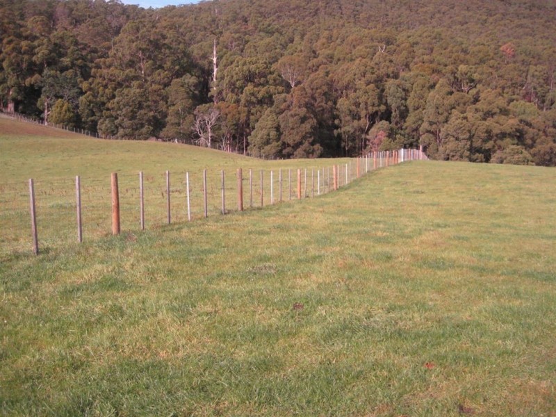 1058 Preston Road, North Motton TAS 7315