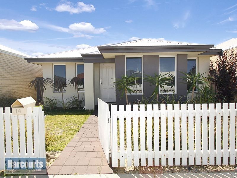 14 Clarity Elbow, Atwell WA 6164