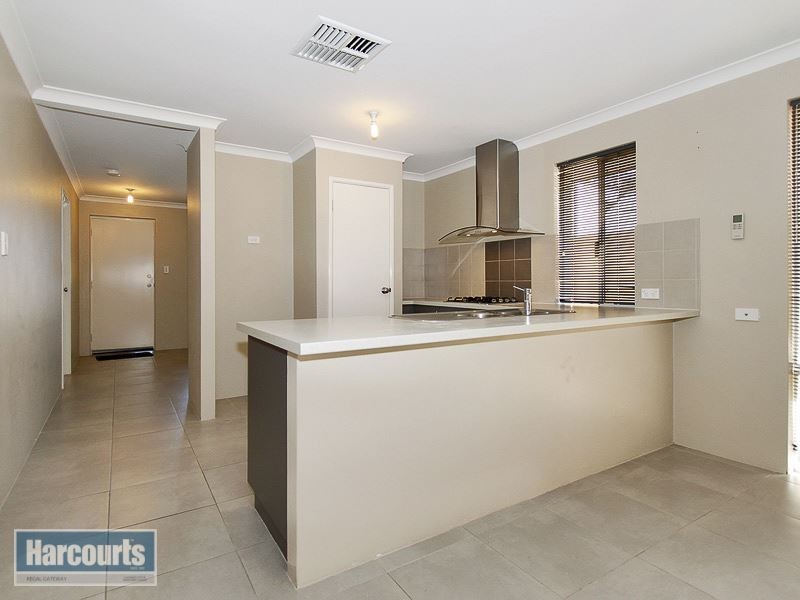 14 Clarity Elbow, Atwell WA 6164