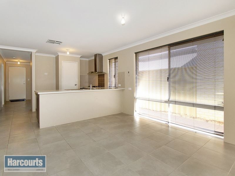 14 Clarity Elbow, Atwell WA 6164