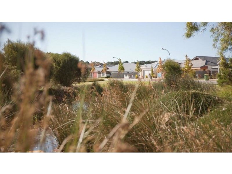 28 Whitmore Loop, Harrisdale WA 6112