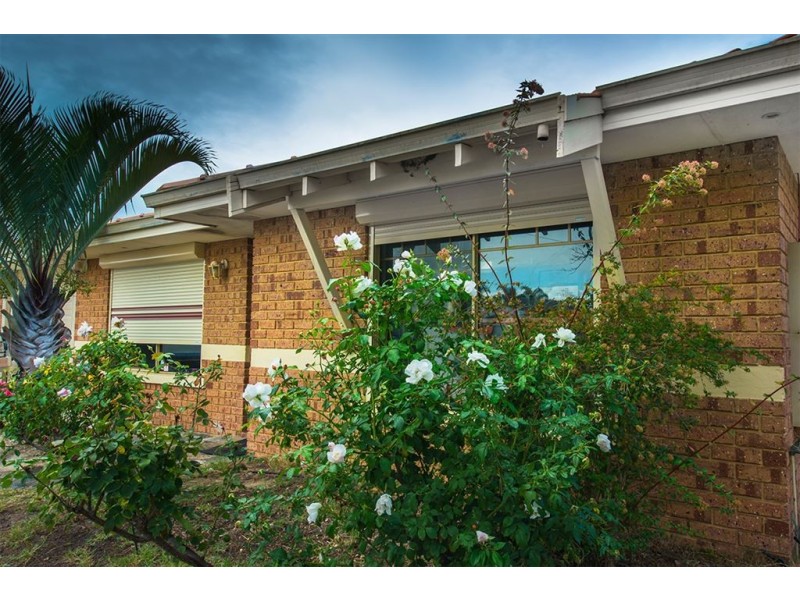 157 Seville Drive, Seville Grove WA 6112