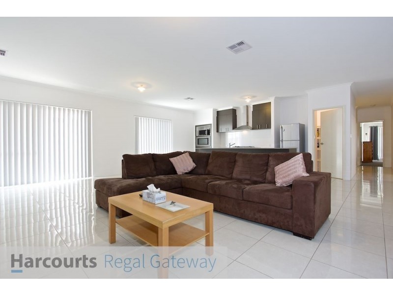 16 Catseye Crescent, Wellard WA 6170