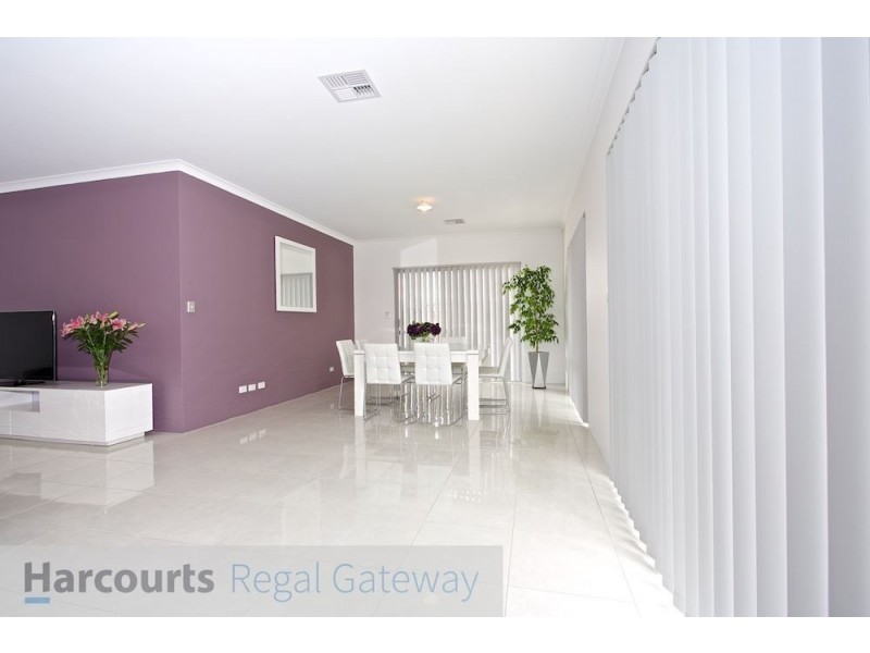 16 Catseye Crescent, Wellard WA 6170