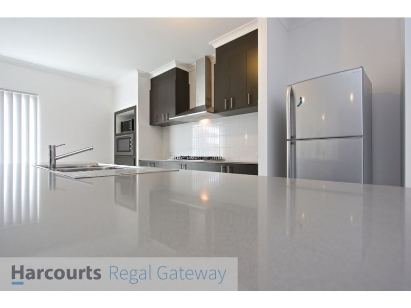 16 Catseye Crescent, Wellard WA 6170