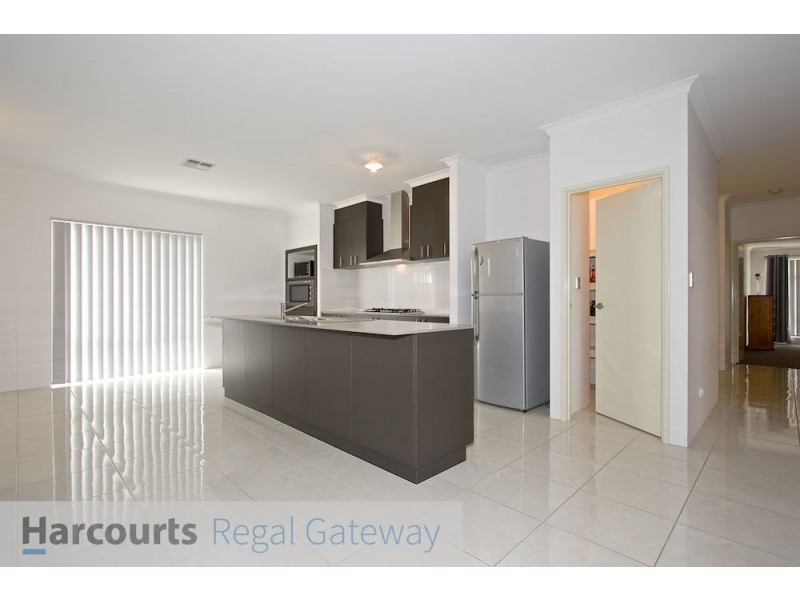 16 Catseye Crescent, Wellard WA 6170