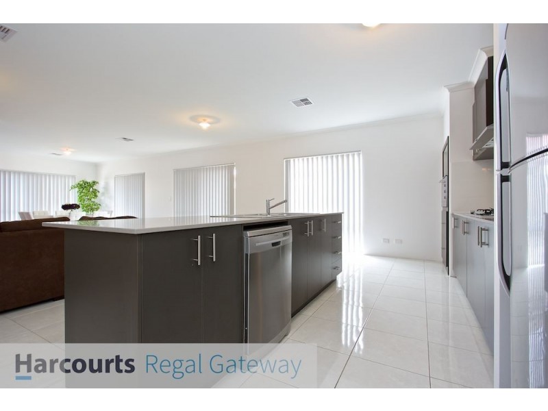 16 Catseye Crescent, Wellard WA 6170