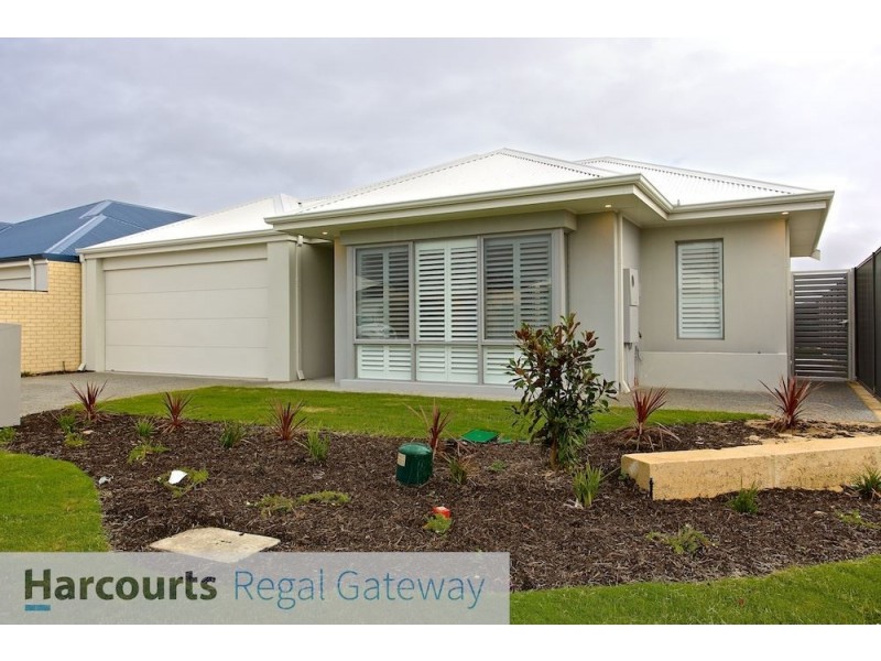 19 Lovage Street, Banjup WA 6164