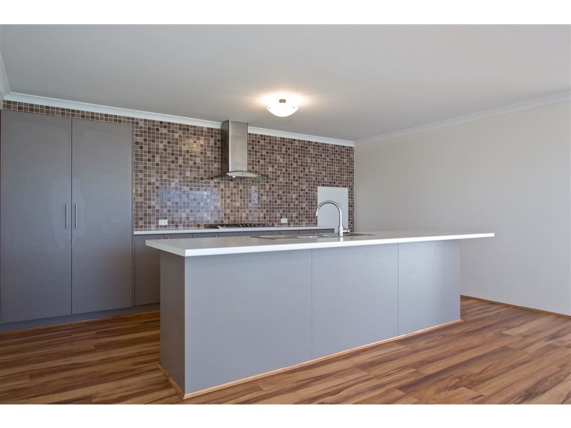 9 Syndicate Link, Munster WA 6166