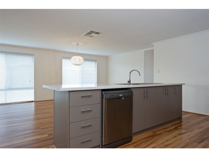 9 Syndicate Link, Munster WA 6166