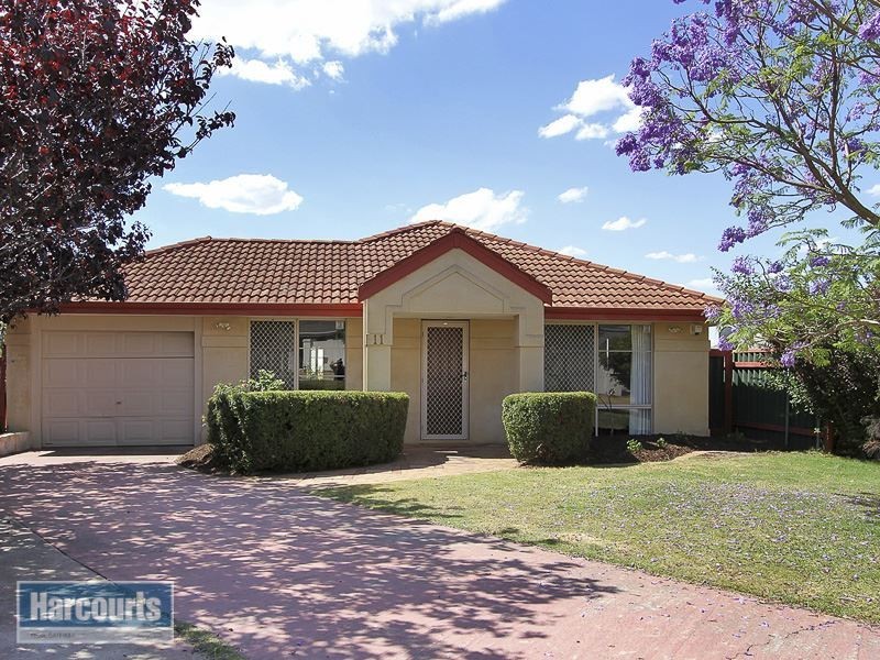 11 Centaury Close, Beeliar WA 6164