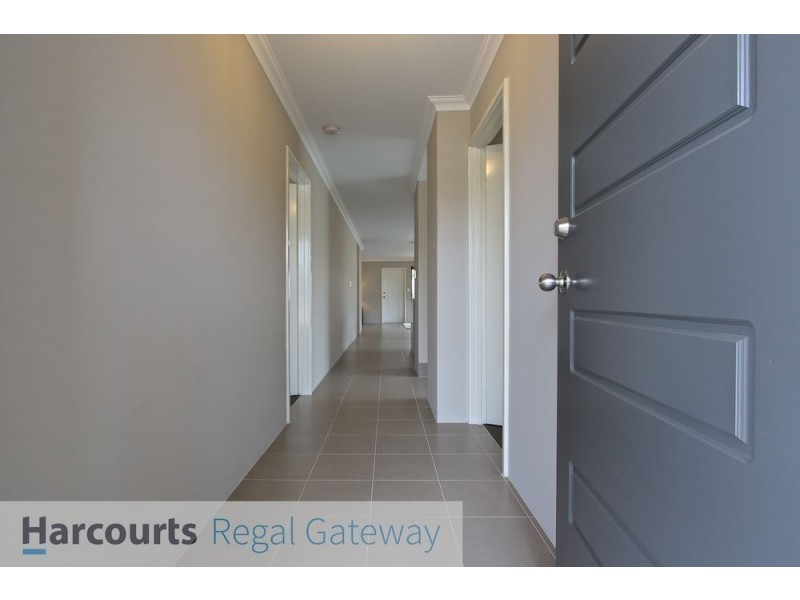 14 Finchley Way, Wellard WA 6170