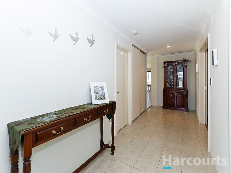 16 Johnsonia Bend, Hammond Park WA 6164