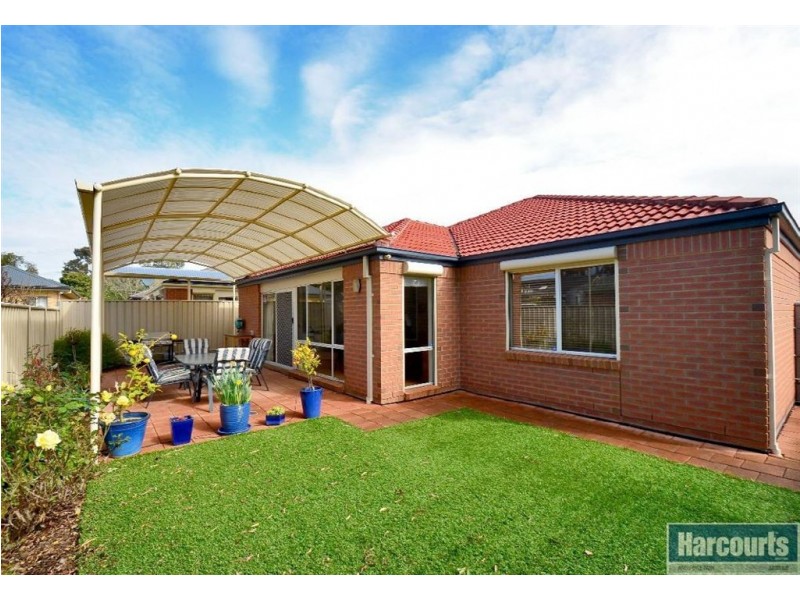 31 Maesbury Circuit, Sturt SA 5047
