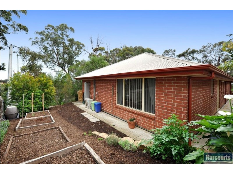 12 Scherer Avenue, Coromandel Valley SA 5051