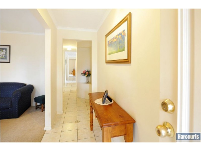 12 Scherer Avenue, Coromandel Valley SA 5051