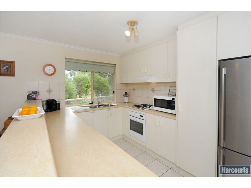 12 Scherer Avenue, Coromandel Valley SA 5051
