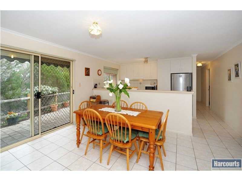 12 Scherer Avenue, Coromandel Valley SA 5051