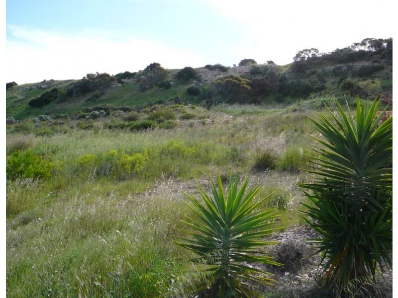 35 Marina Drive, Port Vincent SA 5581