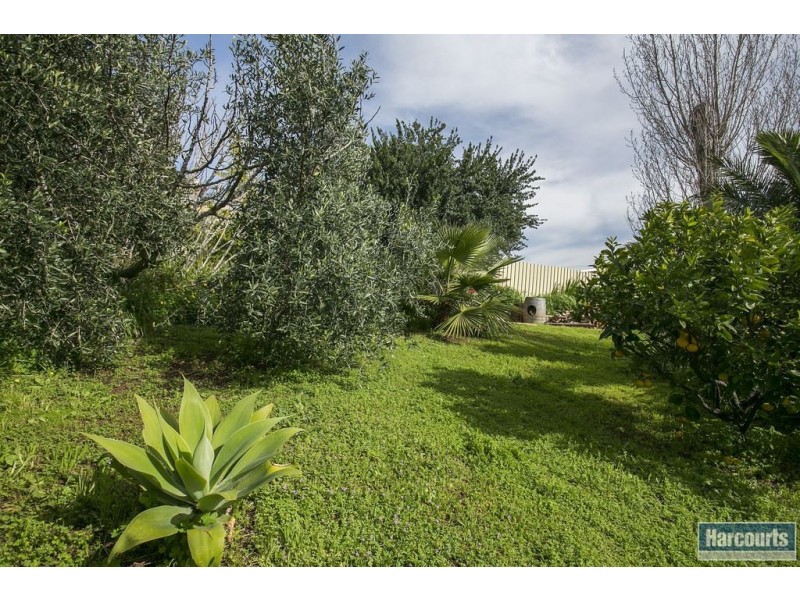 3 Seacombe Crescent, Seacombe Heights SA 5047