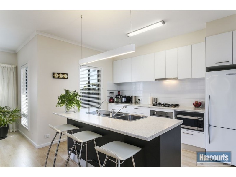 52 Vendale Drive, Flagstaff Hill SA 5159