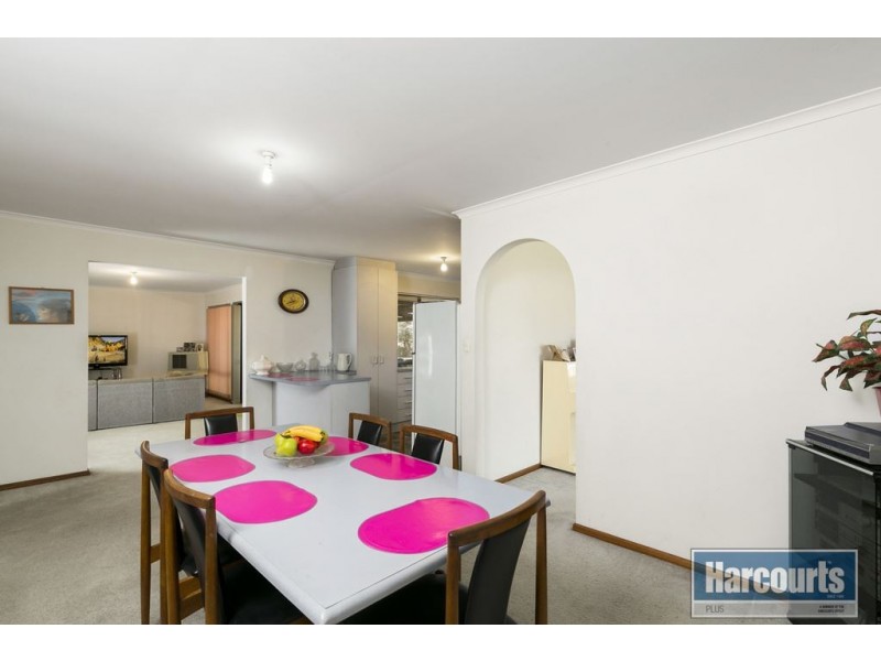 17 Tigress Drive, Hallett Cove SA 5158