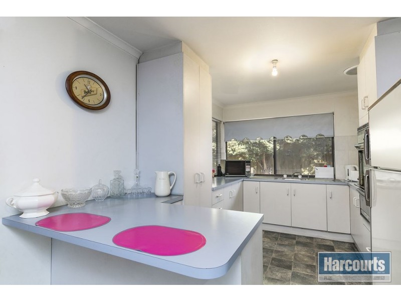 17 Tigress Drive, Hallett Cove SA 5158