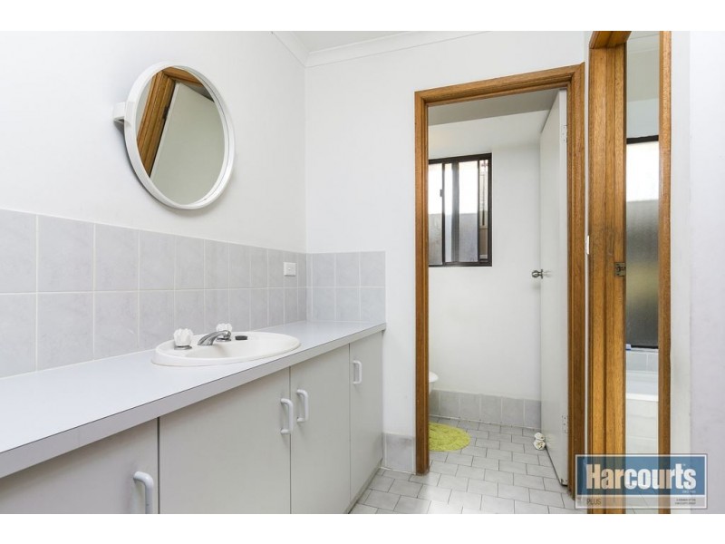 17 Tigress Drive, Hallett Cove SA 5158