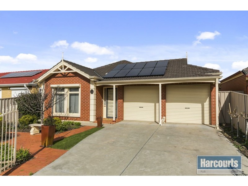 50 Bray Street, Plympton Park SA 5038