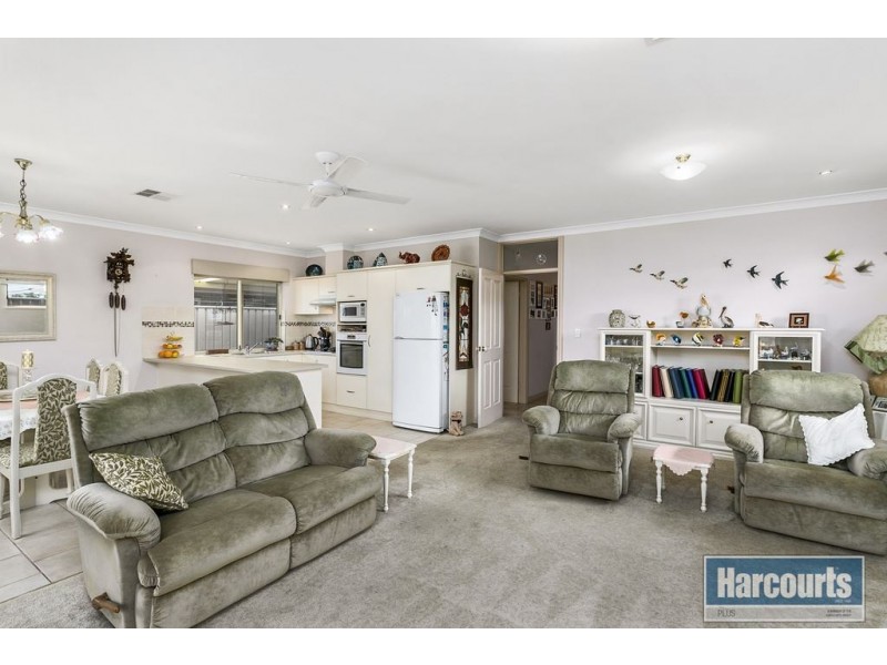 50 Bray Street, Plympton Park SA 5038