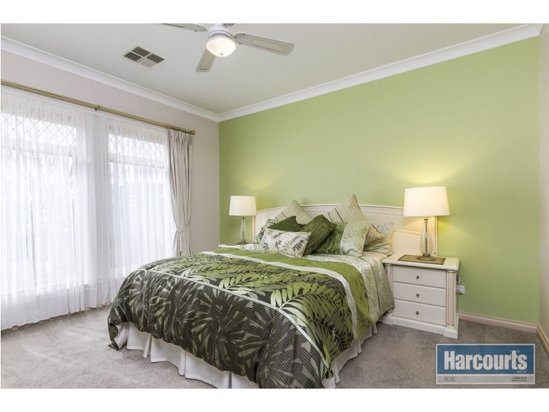 50 Bray Street, Plympton Park SA 5038