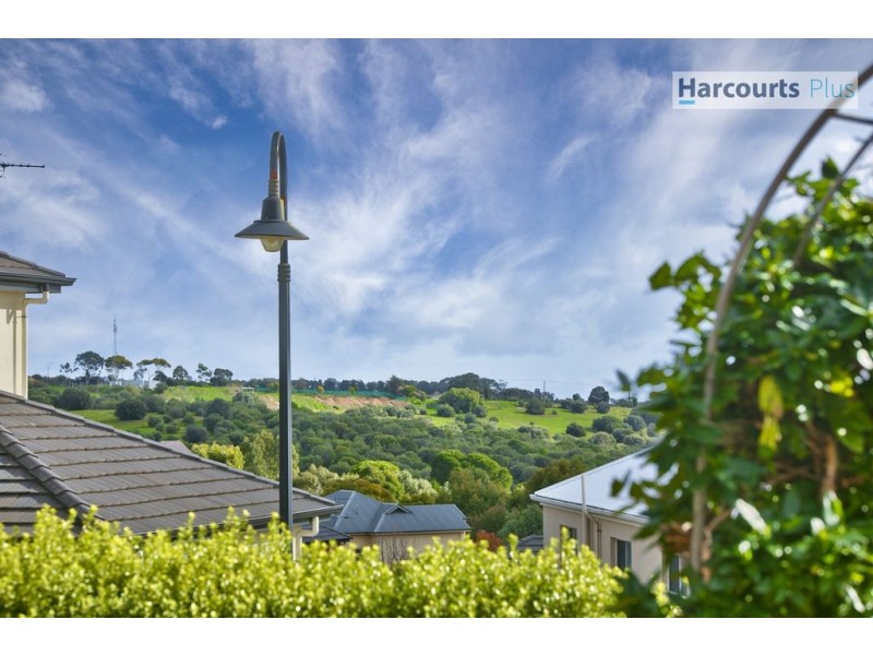16 Evergreen Parade, Flagstaff Hill SA 5159