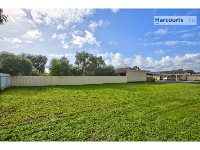 42 Myer Avenue, Plympton SA 5038