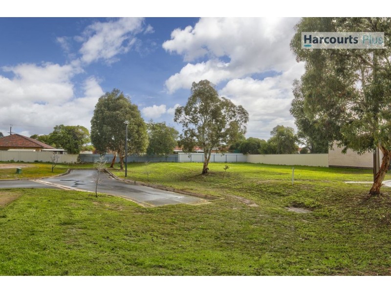 42 Myer Avenue, Plympton SA 5038