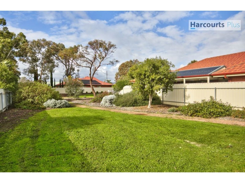 42 Myer Avenue, Plympton SA 5038