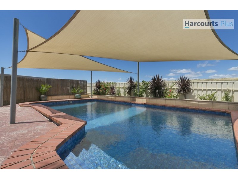 20 Antonia Circuit, Hallett Cove SA 5158