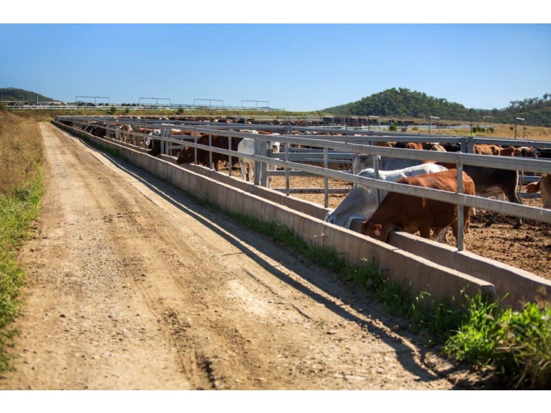 Tansey QLD 4601